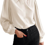 Women's Silk Button Down Shirts V Neck Long Sleeve Casual Work Office Blouse Top - Zeagoo (Us Only)