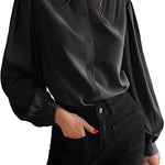 Women's Silk Button Down Shirts V Neck Long Sleeve Casual Work Office Blouse Top - Zeagoo (Us Only)