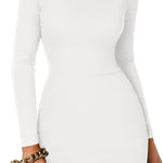 Zeagoo Bodycon Dress Elegant Turtleneck Long Sleeve Dress (DE Only)