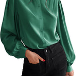 Women's Silk Button Down Shirts V Neck Long Sleeve Casual Work Office Blouse Top - Zeagoo (Us Only)