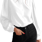 Women's Silk Button Down Shirts V Neck Long Sleeve Casual Work Office Blouse Top - Zeagoo (Us Only)