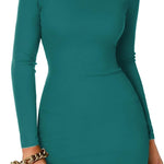 Zeagoo Bodycon Dress Elegant Turtleneck Long Sleeve Dress (DE Only)