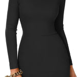Zeagoo Bodycon Dress Elegant Turtleneck Long Sleeve Dress (DE Only)