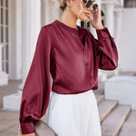Women's Silk Button Down Shirts V Neck Long Sleeve Casual Work Office Blouse Top - Zeagoo (Us Only)
