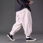 Thickened Faux Lamb Wool Loose Casual Harem Pants