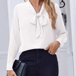 Zeagoo Casual Bow Tie Neck Chiffon Long Sleeve Blouse for Women Casual Work Office Loose Fit 2026 | Under $40